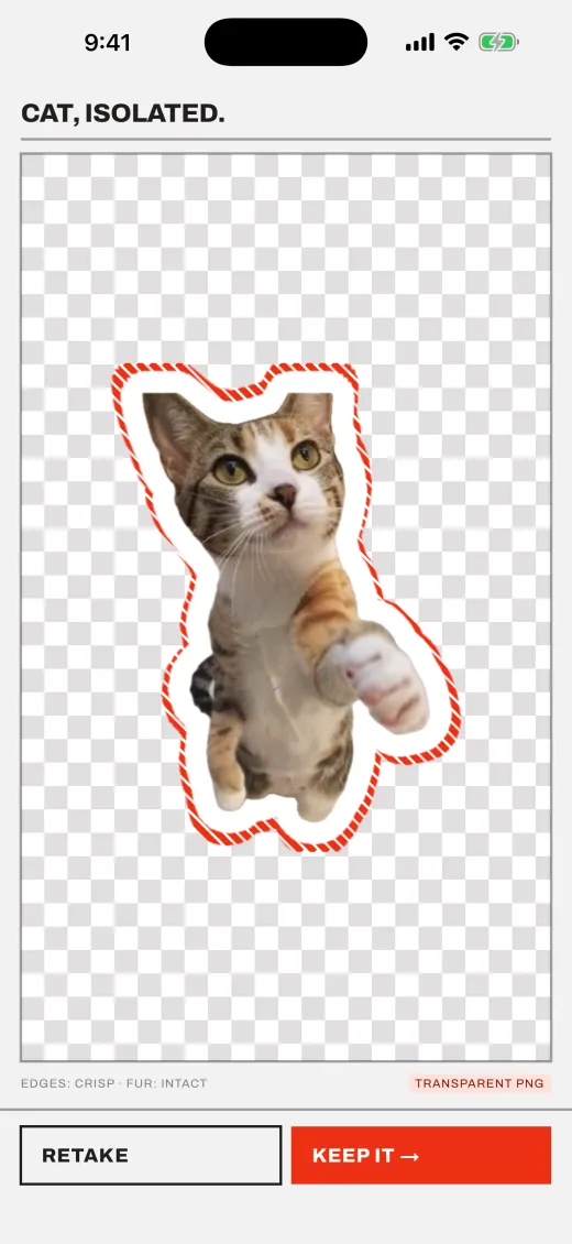 The same kitten cut out of its background on a transparent checkerboard, outlined as a sticker